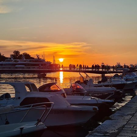 Tom'S Luxury Apartment Zadar, Branimirova Obala מראה חיצוני תמונה